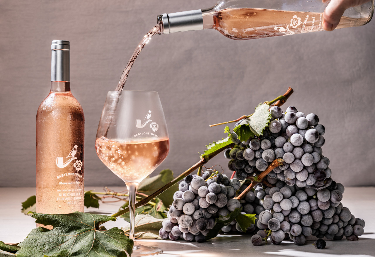 Probieren Sie den köstlichen Wein von Babylonstoren