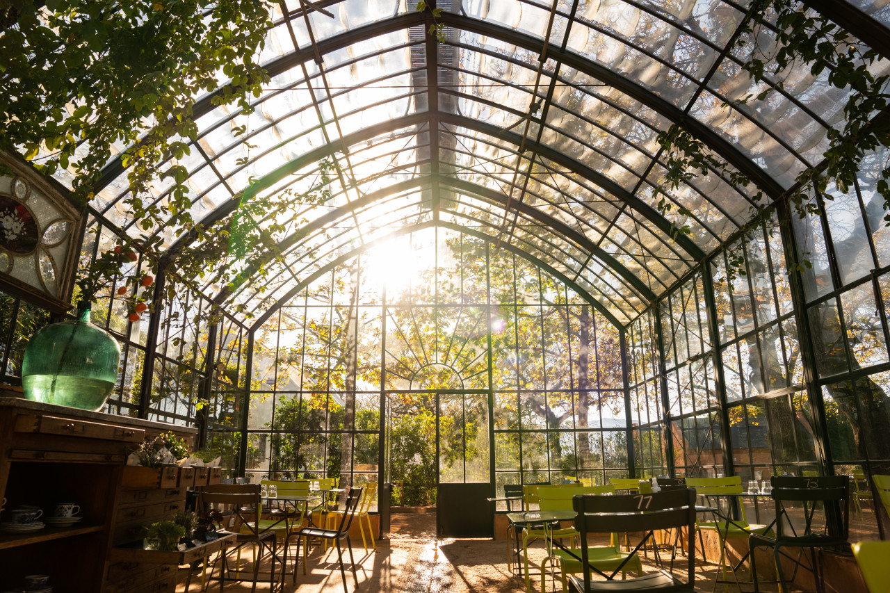 Herrliche Atmosphäre im Greenhouse