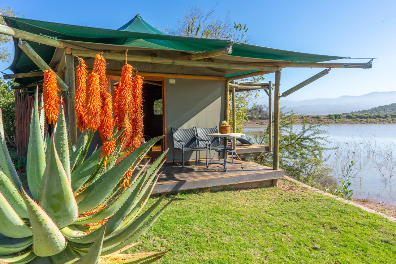 Luxuriöse Zelte am Wasserloch
