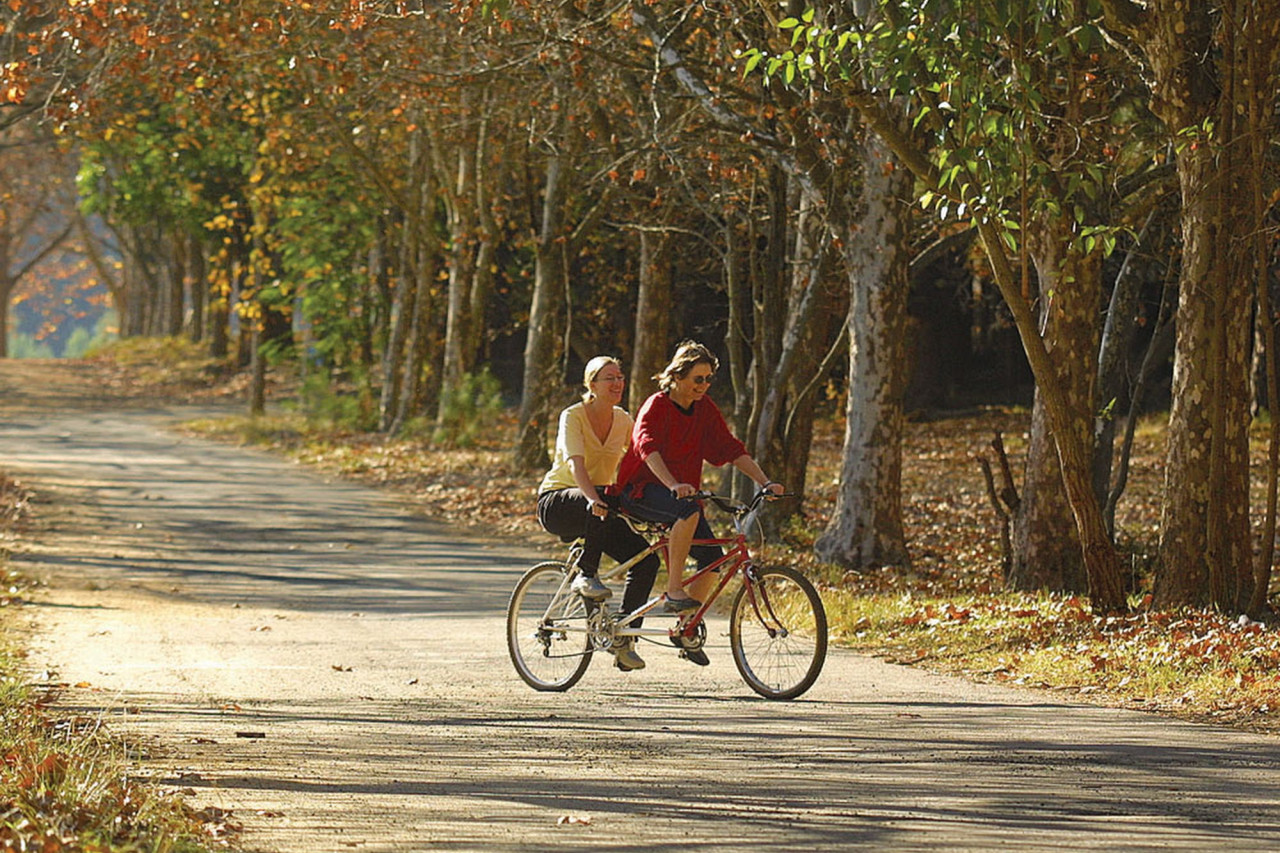 Für aktive Gäste stehen Fahrräder zur Verfügung