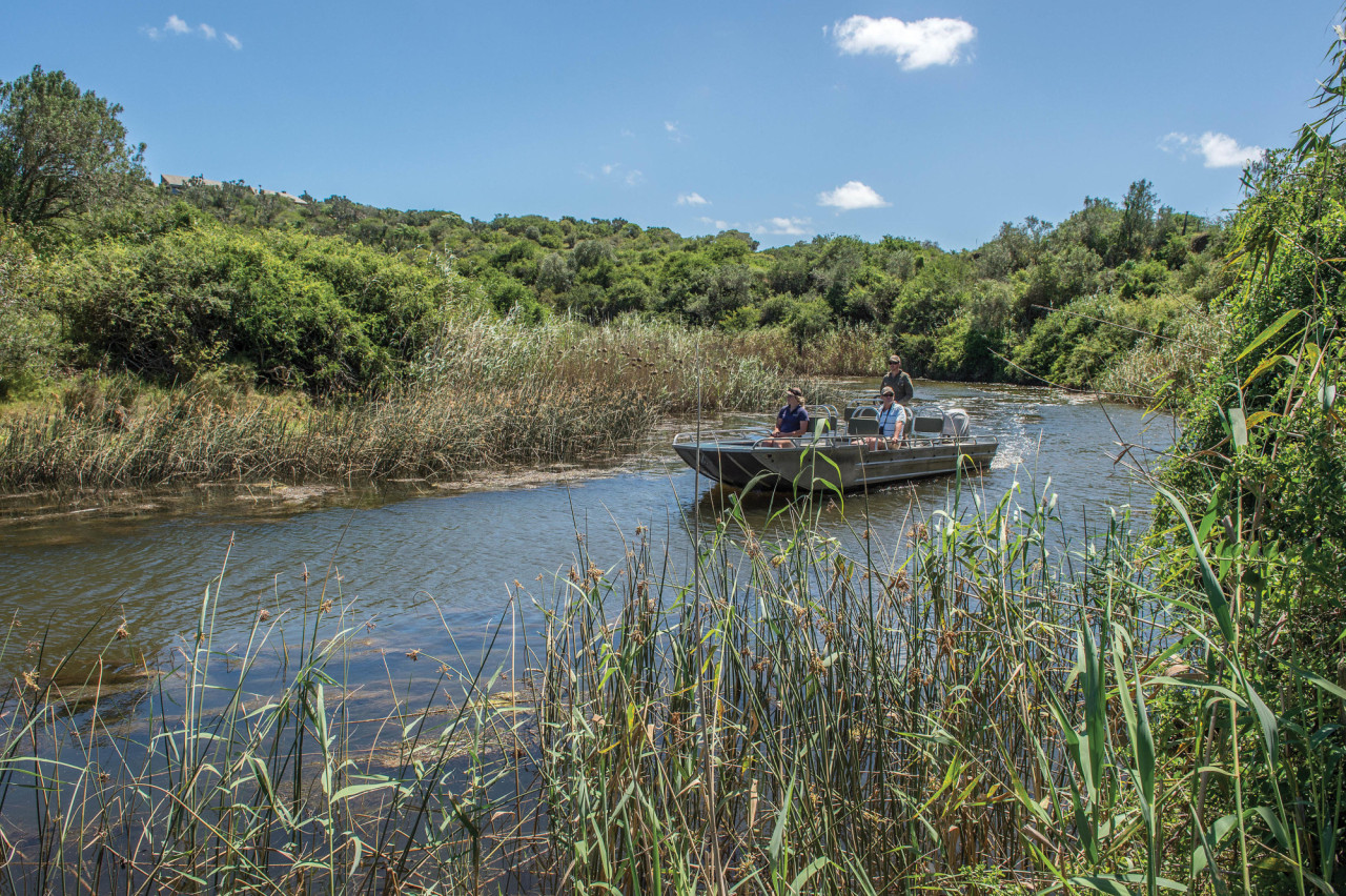 Spannende Wildbeobachtung per Boot, Jeep oder zu Fuß