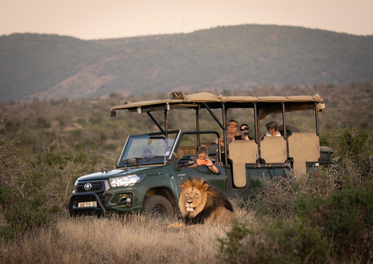 Spannende Pirschfahrt im Big Five Reservat