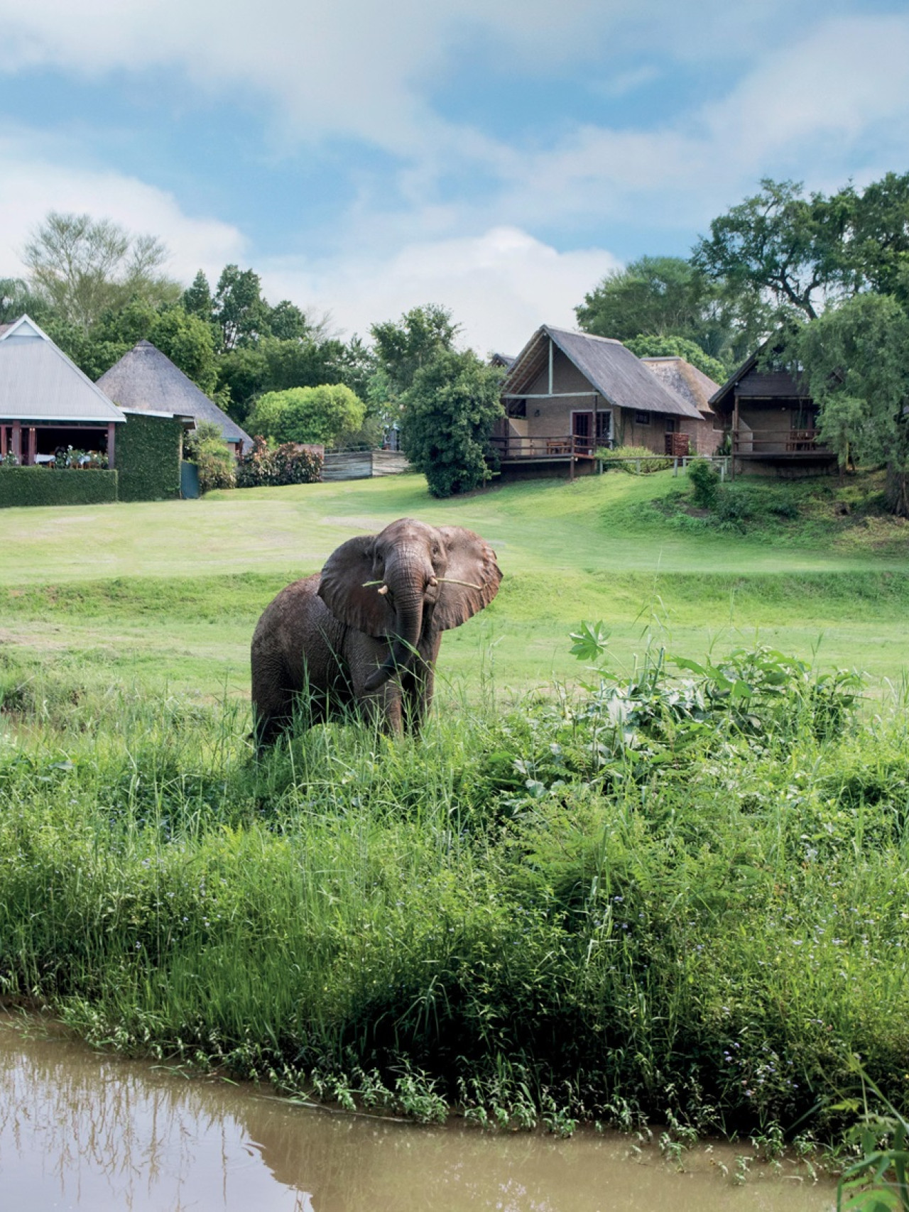 Komfortables, familienfreundliches Hotel am Ufer des Sabie River