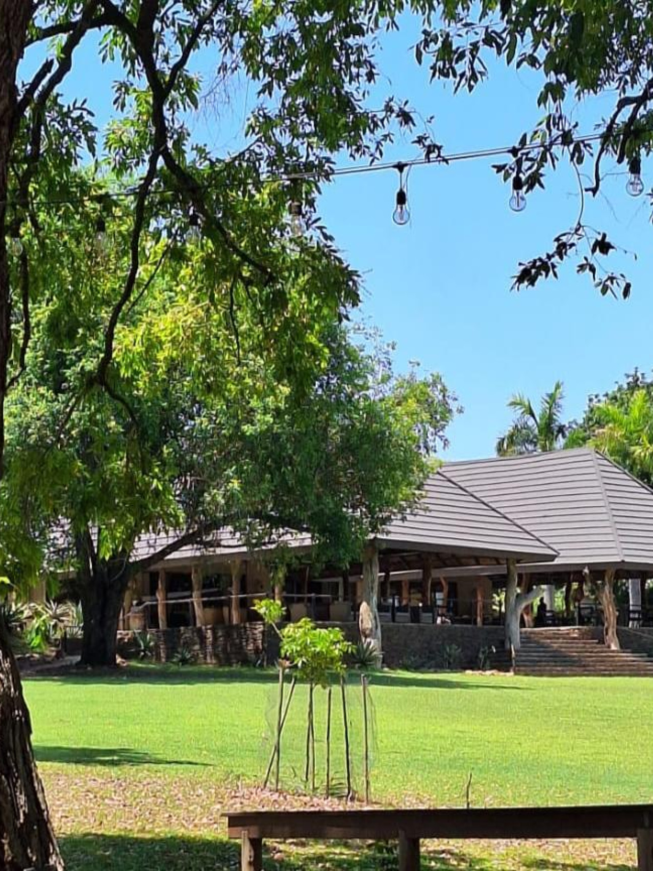 Die Lodge liegt an den üppigen Ufern des Sabi Sands