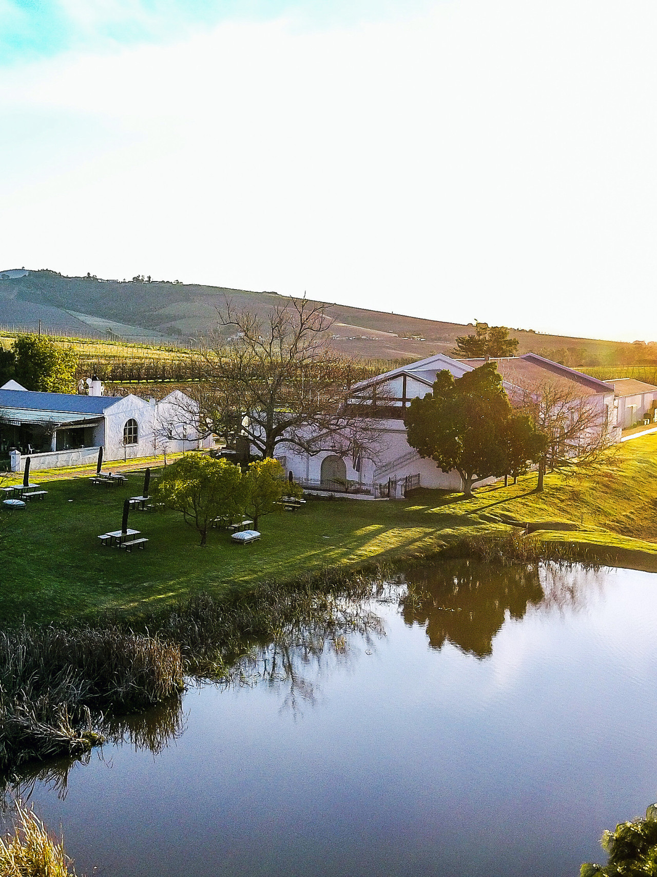 Gemütliche Lodge auf einem bewirtschafteten Weingut
