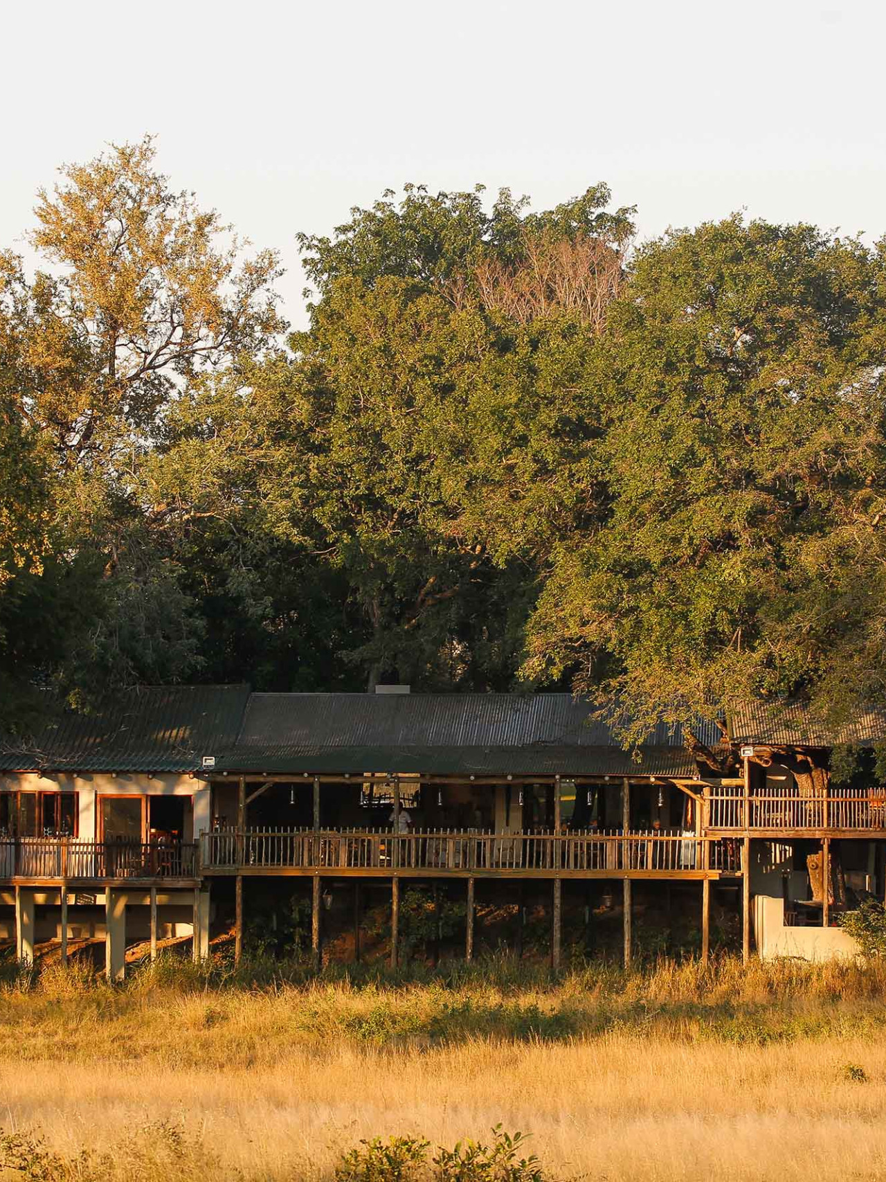 Authentisches Safari-Camp im Herzen des Sabi Sands