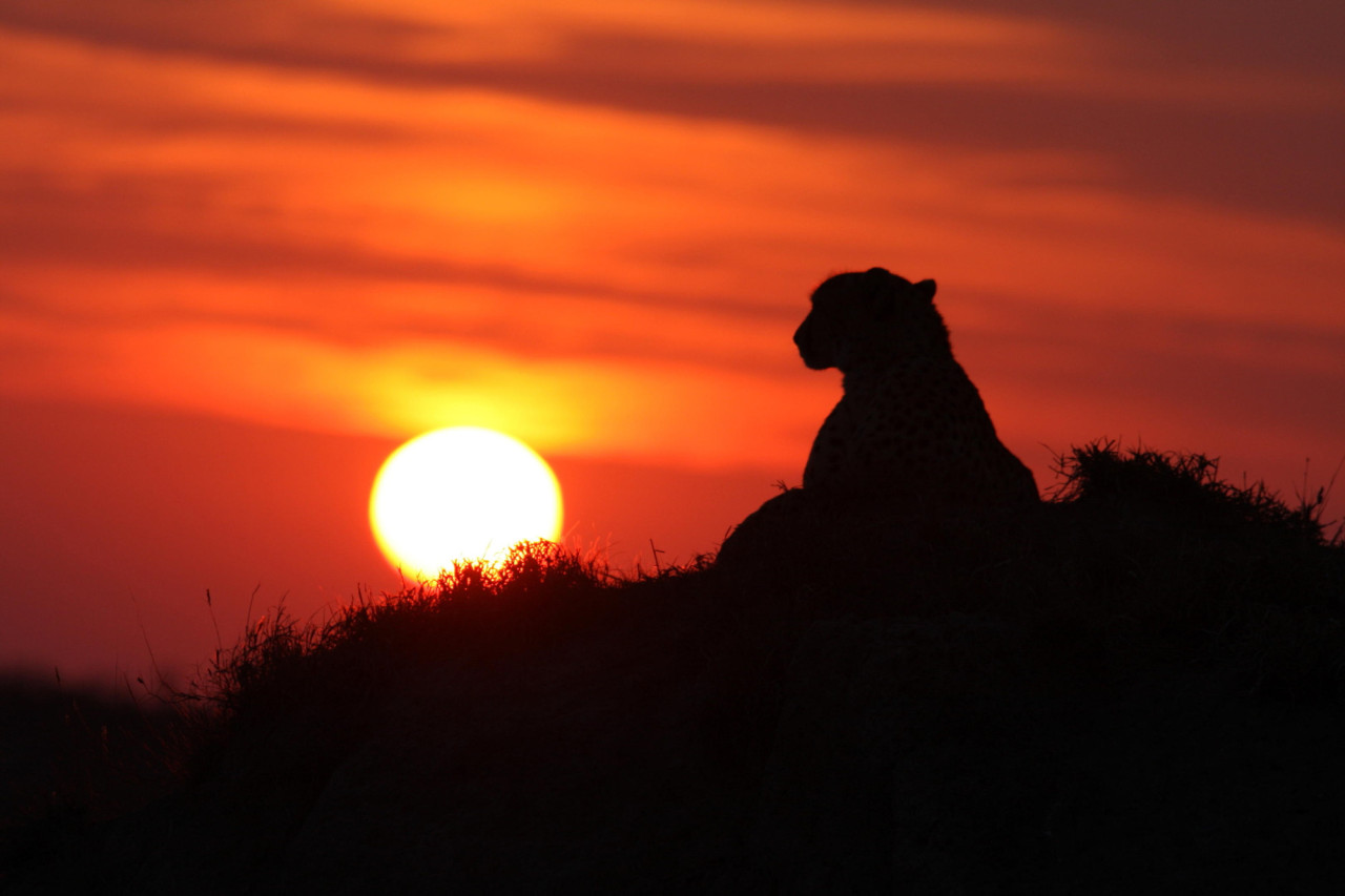 Afrika berührt - bei Tag und bei Nacht