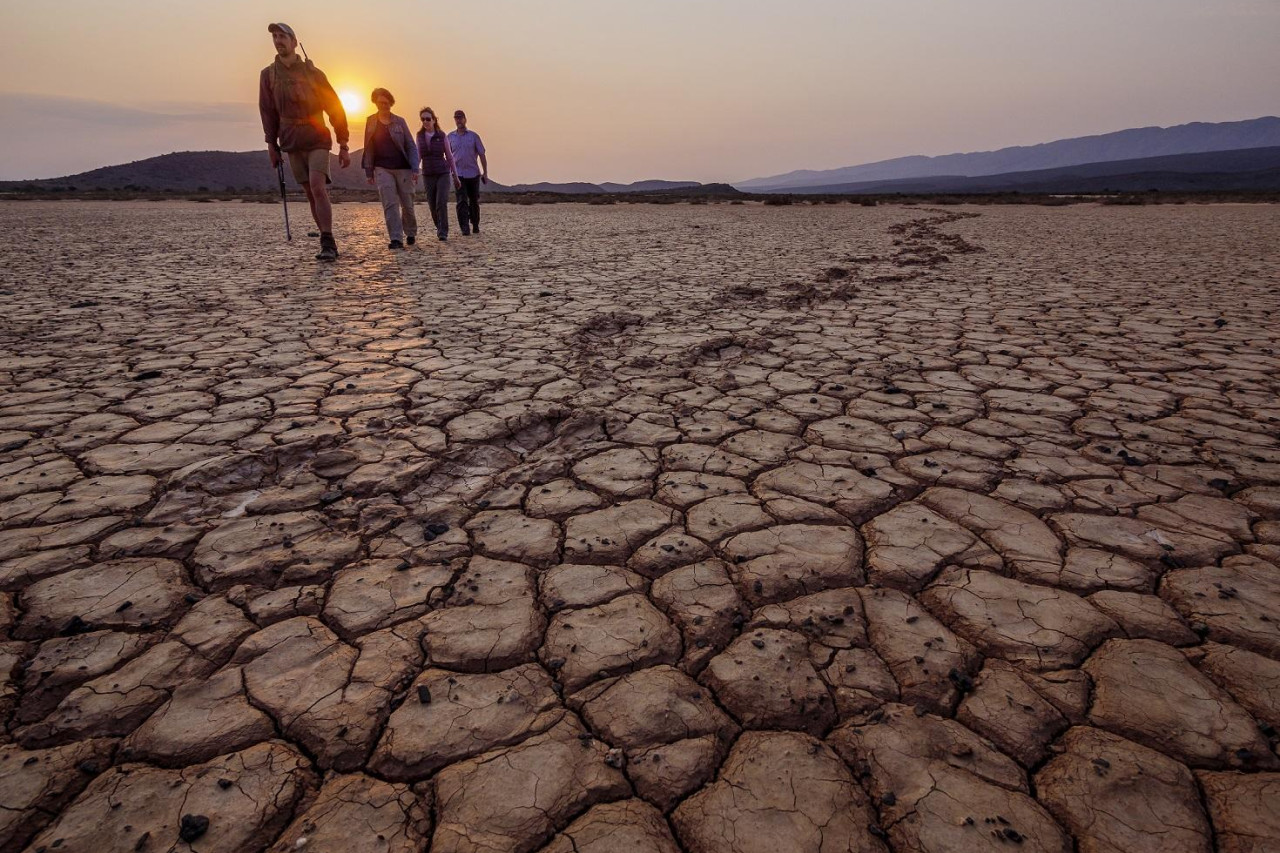 Geführte Wanderung durch die Wildnis