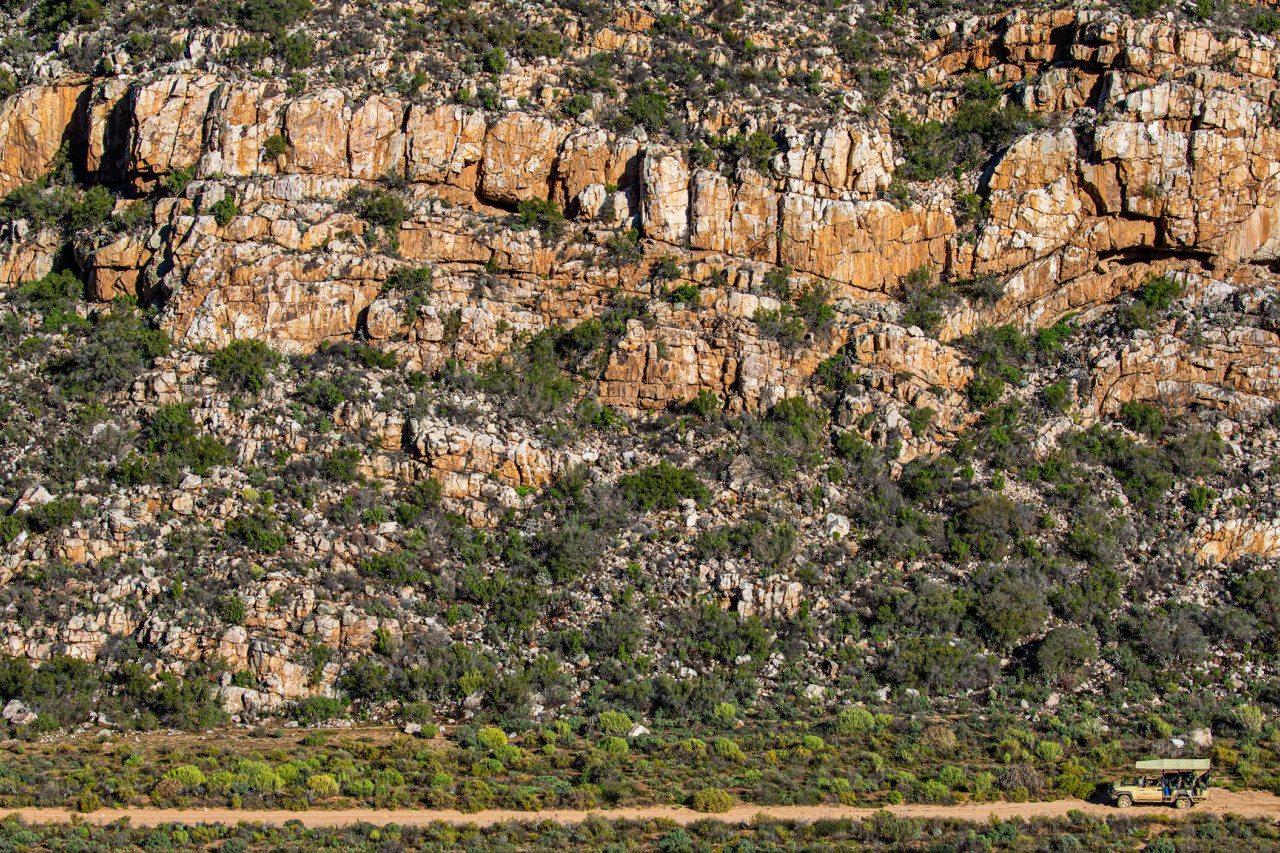 Pirschfahrt auf der Suche nach Wildtieren