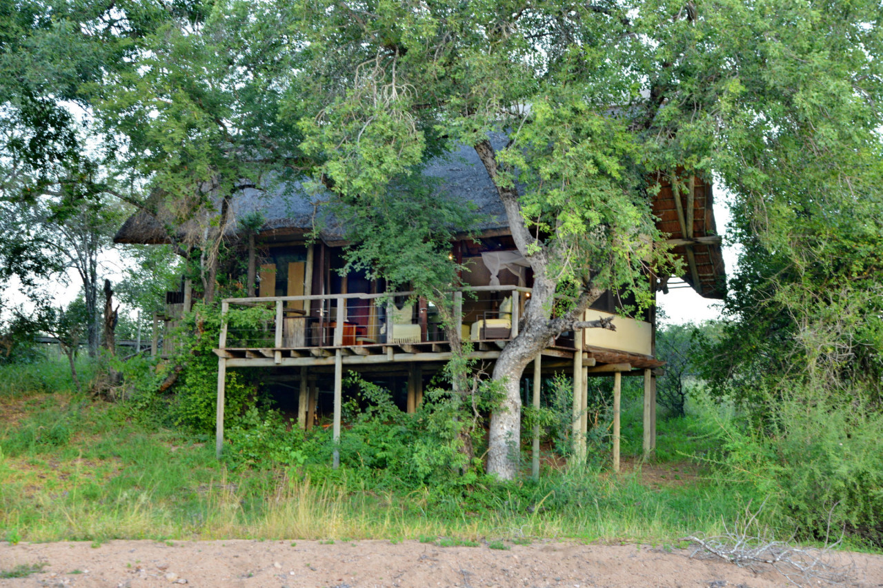 Acht Busch-Suites mit großen Fenstern und Blick in die Natur