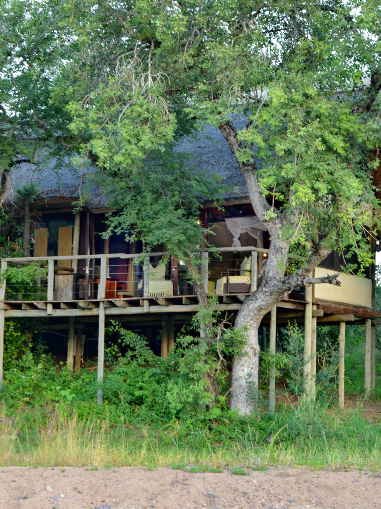 Acht Busch-Suites mit großen Fenstern und Blick in die Natur