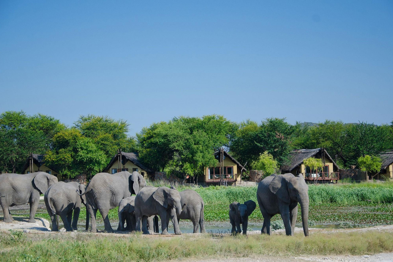 Luxus-Safari-Lodge inmitten der natürlichen Tierwelt