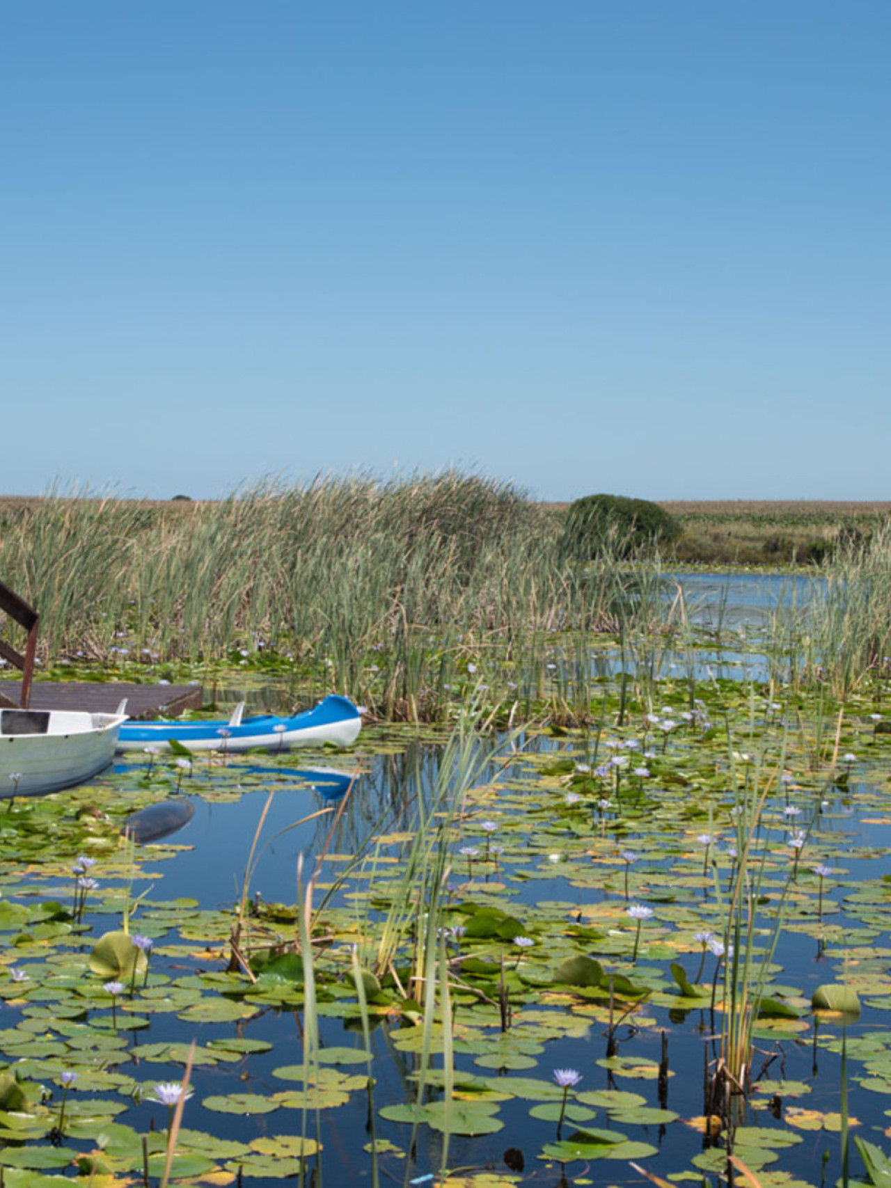 Ein Ort, der Ihre Seele einfängt