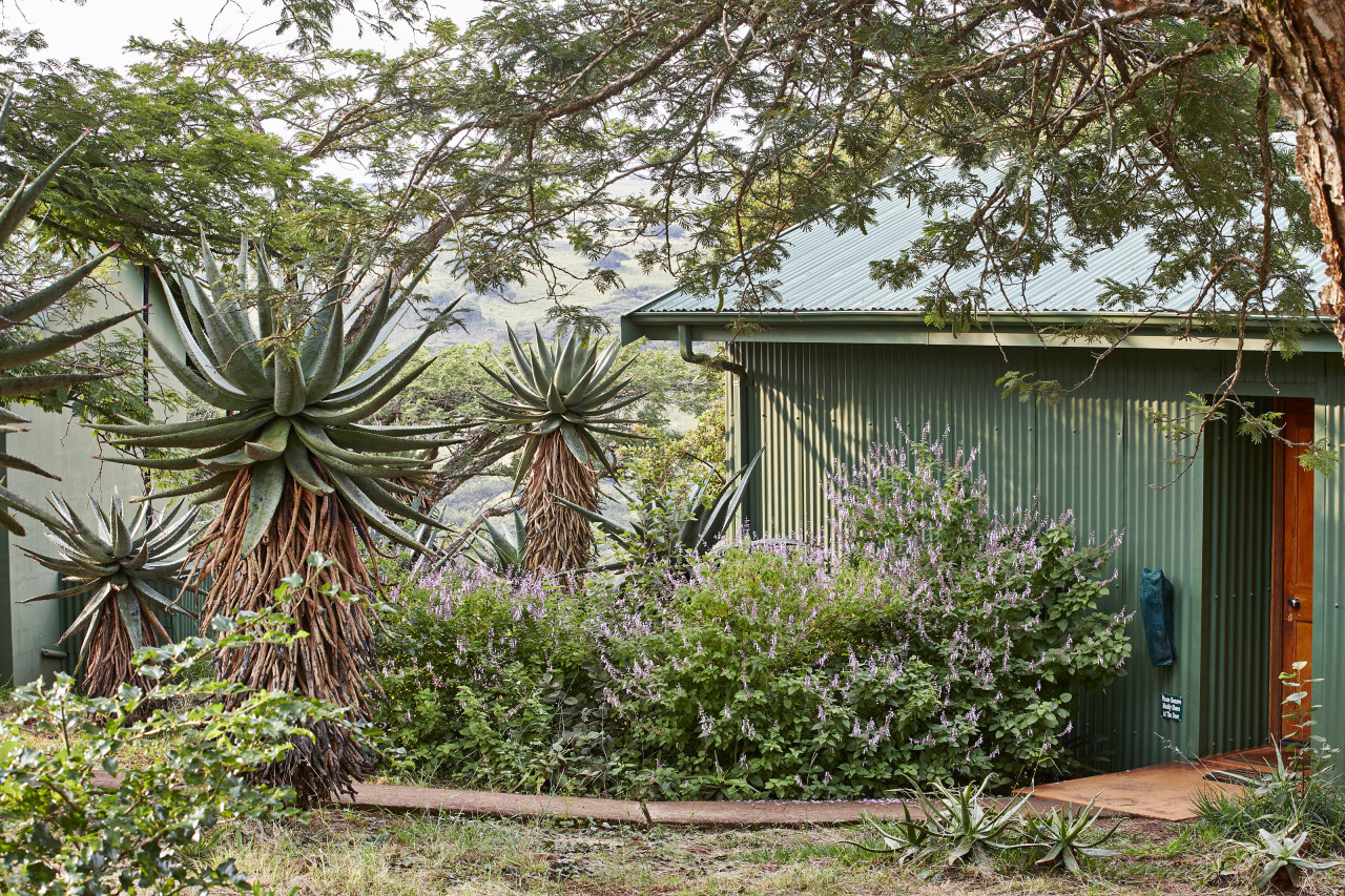 Cottage in tropischem Garten mit exotischen Pflanzen
