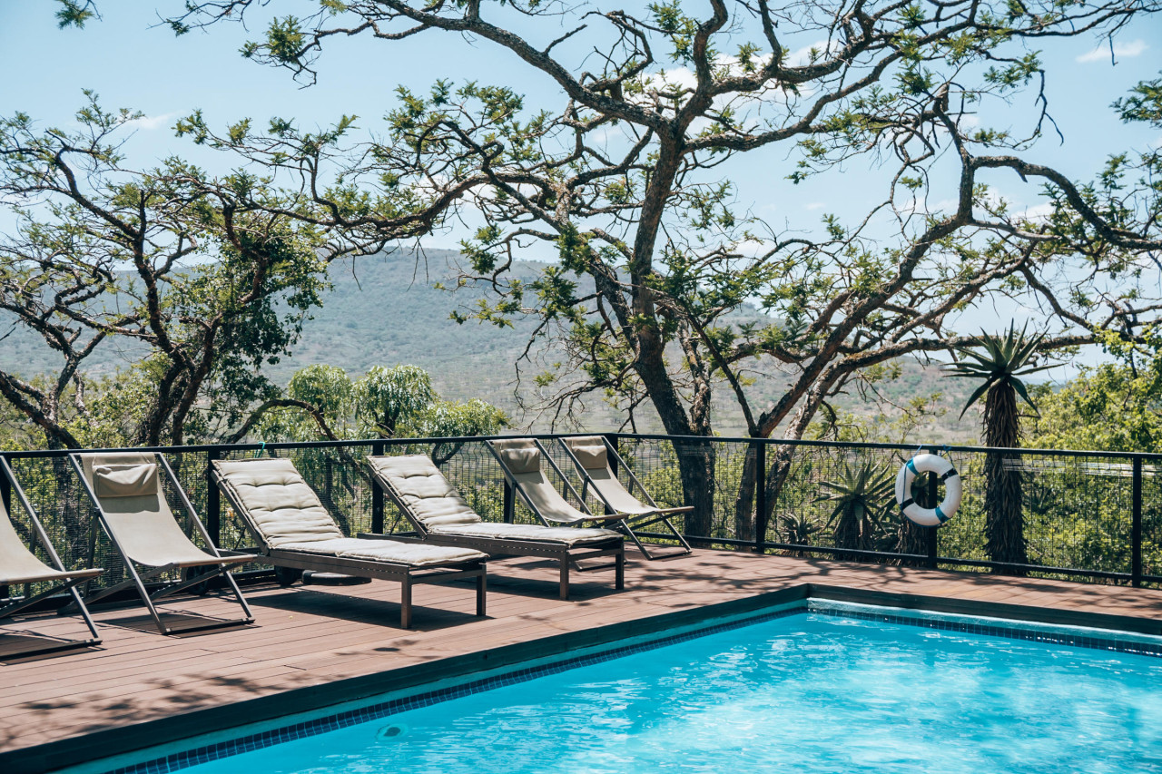 Erfrischender Pool unter schattigen Bäumen