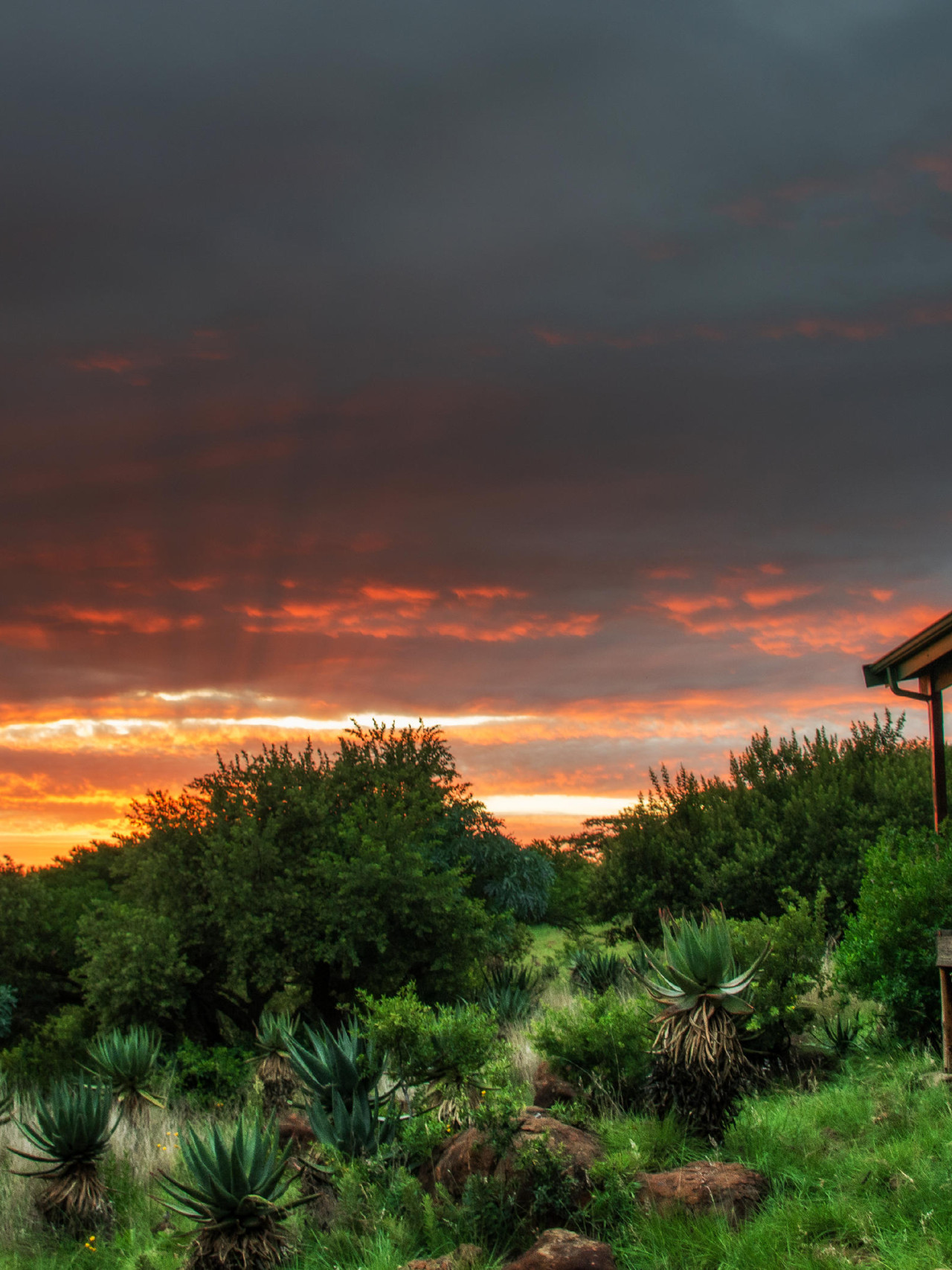 Am Rande der Drakensberge in sanften Hügeln gelegen
