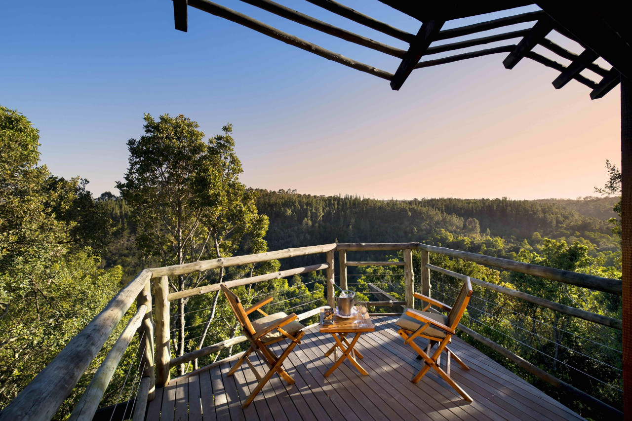Private Terrasse mit Blick auf den Wald