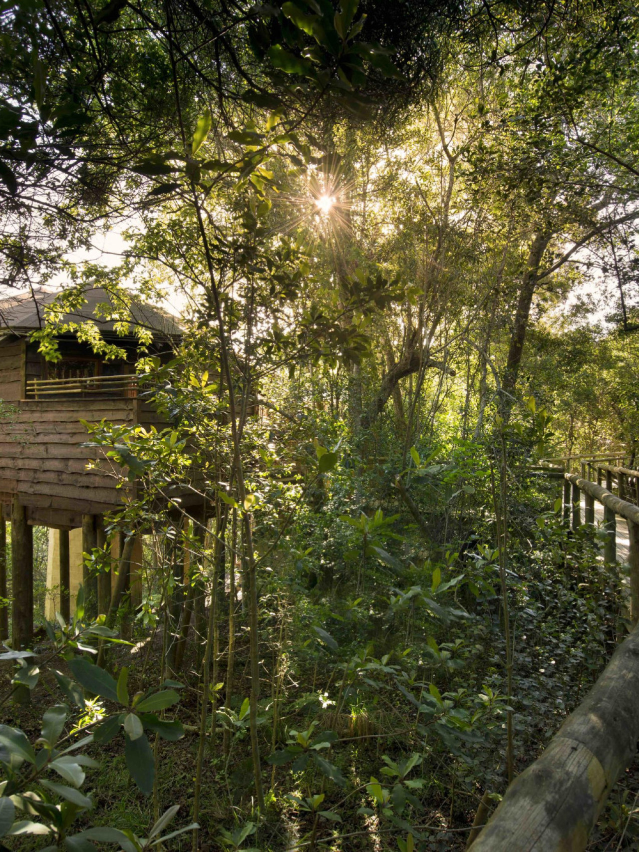 Erhöhtes Refugium ist romantisch und abenteuerlich