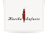 Logo von Karibu Safaris